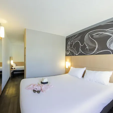 Ibis Sud