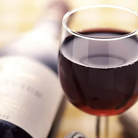 Ibis Sud Отель 3*