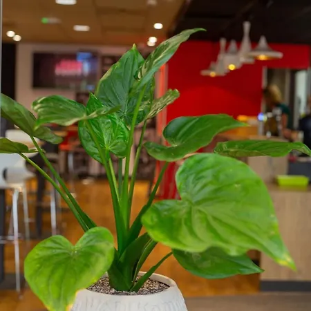 Hotel Ibis Sud Montpellier