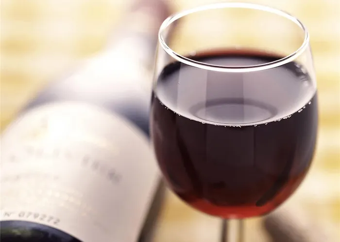 Ibis Sud فندق مونبيلييه