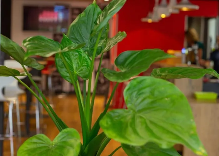 فندق Ibis Sud مونبيلييه